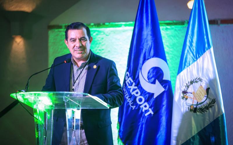 Guatemala fortalece la innovación en producción de aguacate para llegar a nuevos mercados