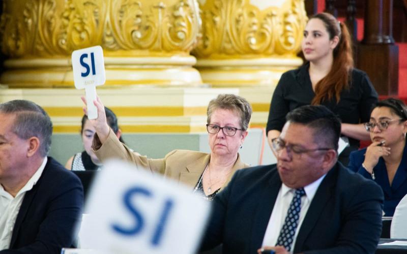 Secretaria Presidencial de la Mujer participa en Tercera Reunión Ordinaria del Conadur