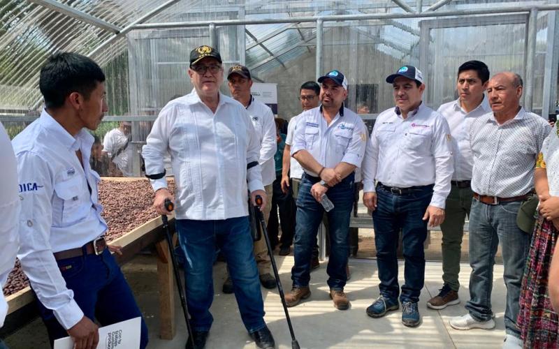 Fortalecen producción de cacao en Cobán, Alta Verapaz 