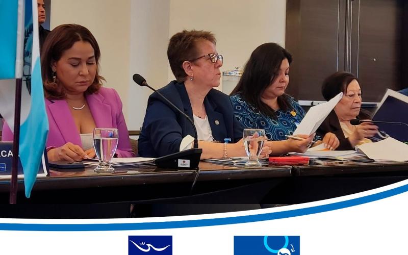 V congreso regional sobre mujeres en los contextos de la migración