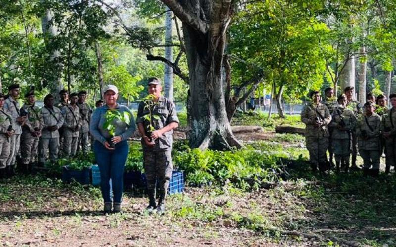 MARN en Petén planta más de dos mil árboles con apoyo de voluntarios