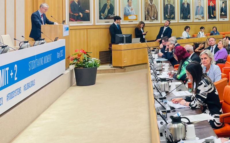 Guatemala expone en cumbre de Naciones Unidas nueva perspectiva de la producción sostenible