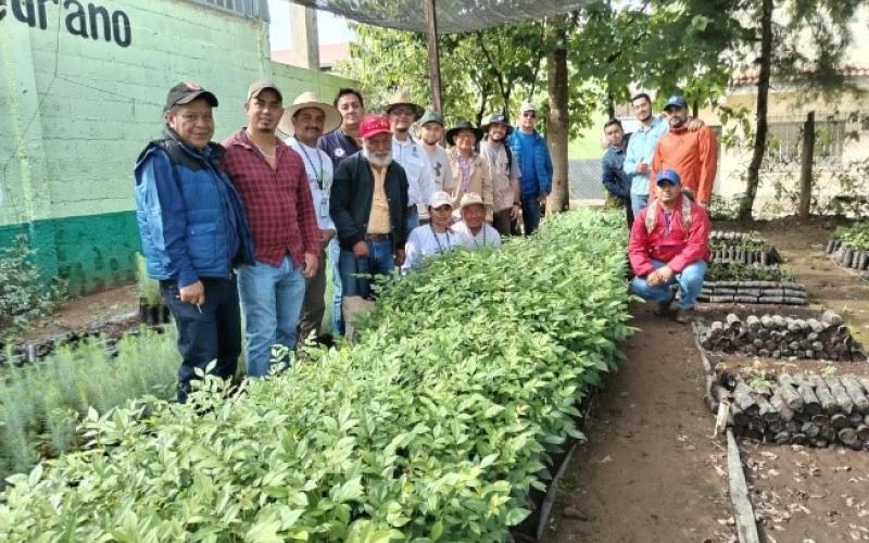 Instituciones y voluntarios unidos para reforestar en Santa Cruz del Quiché