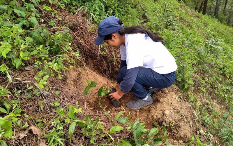 Líderes Ambientales del MARN reforestan en Patzún, Chimaltenango