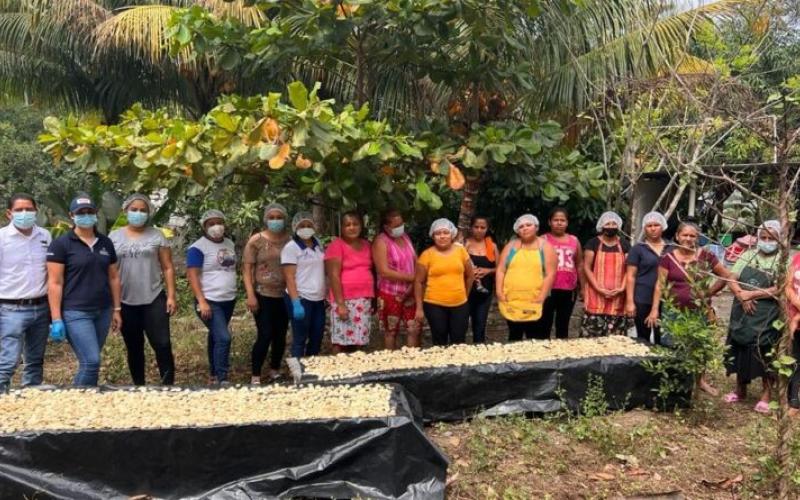 Promueven platillos hechos a base de harina de banano para combatir la malnutrición en niños