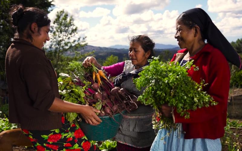Instituciones de gobierno coordinan acciones para mitigar los efectos de “El Niño” y la canícula prolongada
