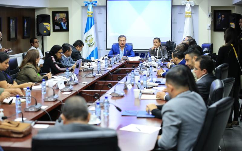 Guatemala avanza en la protección para la obtención de variedades vegetales