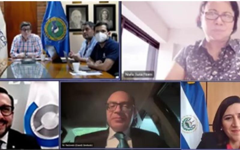 Captura de pantalla de la reunión virtual