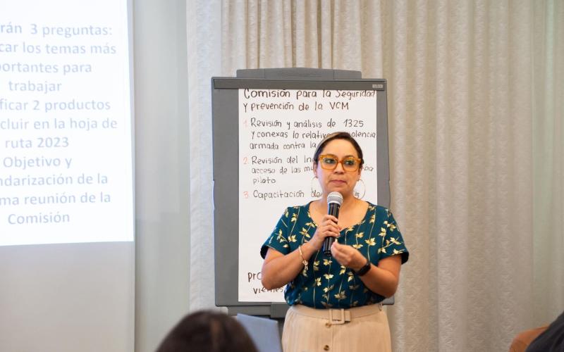 La SEPREM participó en la segunda reunión ordinaria de la Mesa Interinstitucional sobre Mujeres, Paz y Seguridad -MIMPAZ-