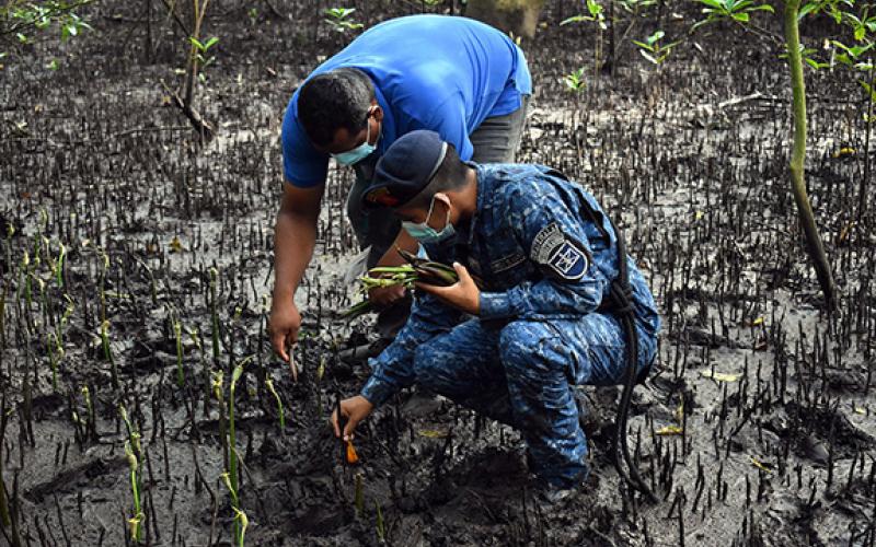 Ejército de Guatemala conmemora el Día Internacional del Ecosistema de Manglares.