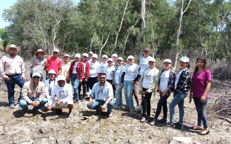 MARN celebra el Día de la Defensa del Ecosistema Manglar con actividades de reforestación