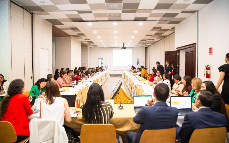 Reunión de seguimiento de las solicitudes de información para el “Dialogo Constructivo de la Convención para la Eliminación de todas las Formas de Discriminación contra la Mujer CEDAW
