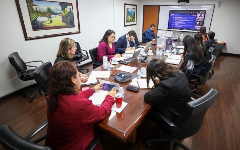 Ministra de Economía, Luz Pérez (De espaldas, con chaqueta roja) presidió la reunión virtual.