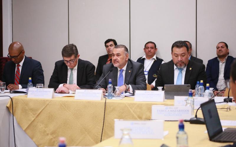 Minex e IGM desarrollan Reunión de Mesa de Trabajo sobre Flujos Masivos Mixtos  