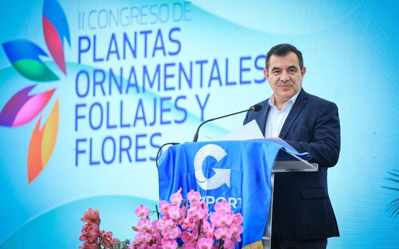 Guatemala busca incrementar sus exportaciones de ornamentales, flores y follajes a mercados estratégicos