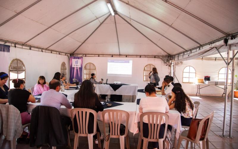 La Secretaría Presidencial de la Mujer brindó asistencia técnica a las instituciones productoras de datos estadísticos
