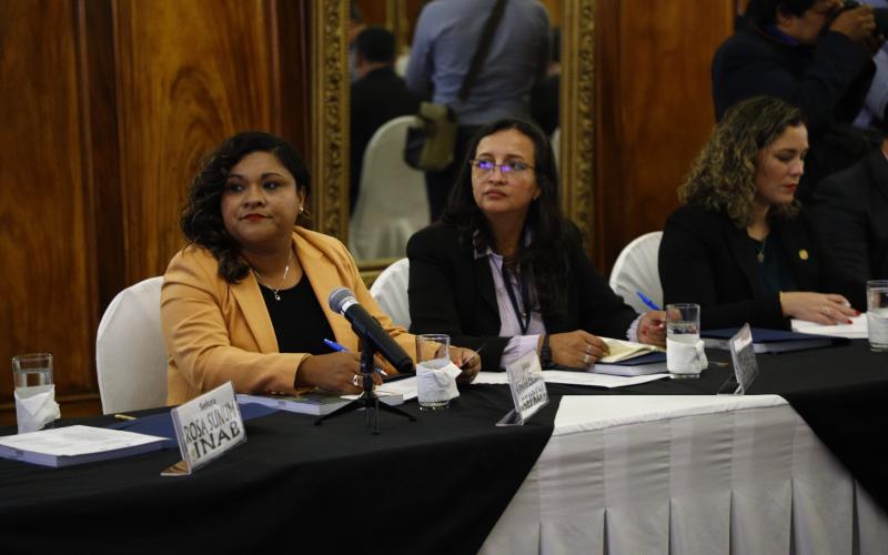 Consejo Nacional de Cambio Climático