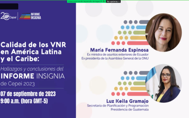 Reunión sobre informe se realizó de forma virtual.