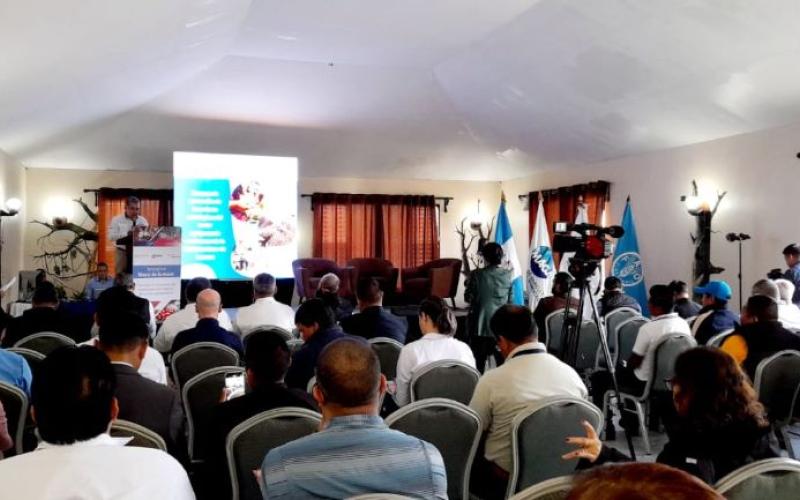 presentación del Programa de Inversiones para el Desarrollo Económico Agropecuario en sentido ampliado en la Zona de Adyacencia y Valle del Polochic, Alta Verapaz..