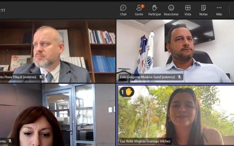 Reunión virtual previa al Consejo Regional de Planificación