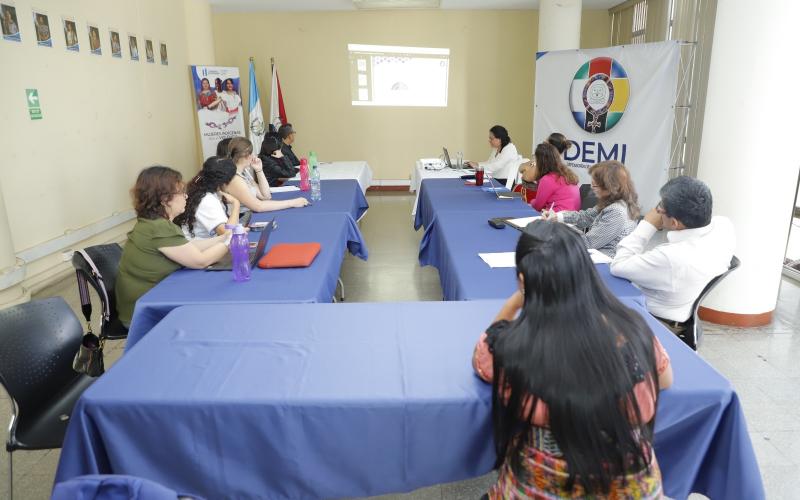 INE visibiliza estadísticas con Enfoque de Pueblos