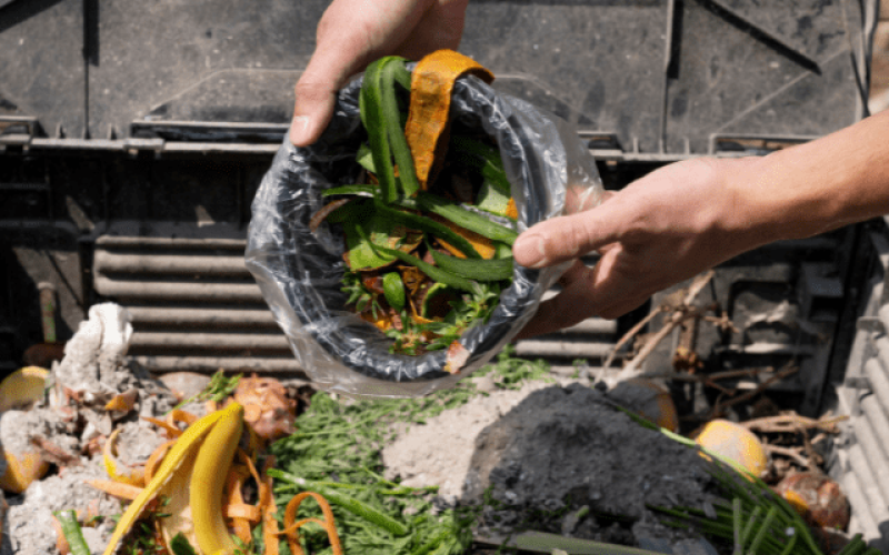 Pérdida y desperdicio de alimentos: su importancia en la prevención y reducción como reto intersectorial