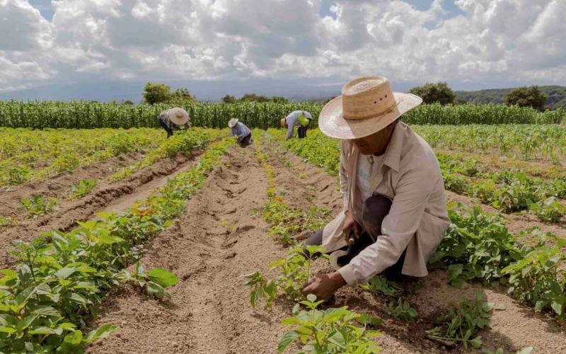 MINFIN cumple con traslado de recursos para pago de veteranos de guerra