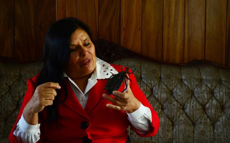 Foto: Dra. María Carlota Monroy