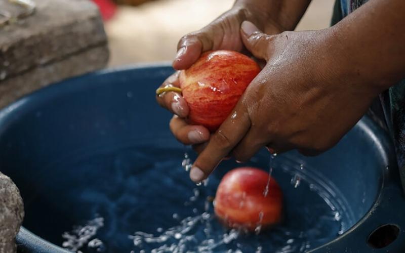 SESAN se suma a la conmemoración del Día Mundial de la Alimentación