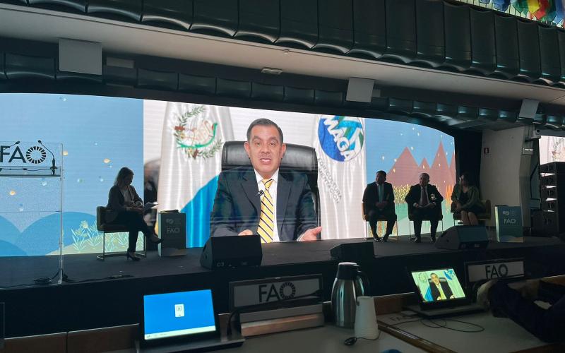Guatemala con el apoyo de FAO busca captar inversiones en el sector agrícola 