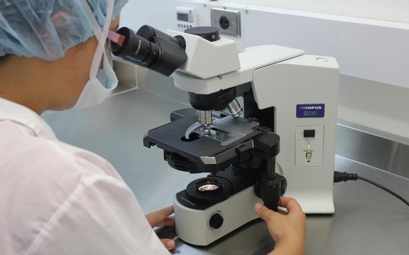 Técnico laboratorista evalua pruebas en microscopio 