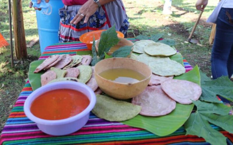 Tortillas de colores: un nutritivo arcoíris con sabor guatemalteco