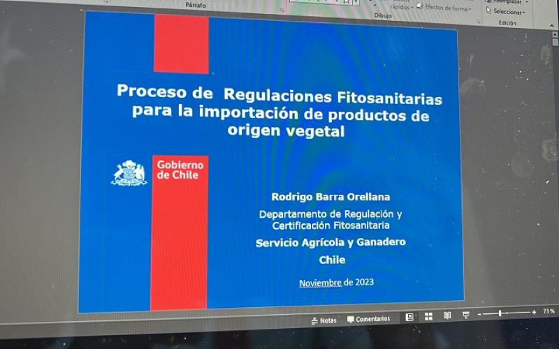 Embajada de Guatemala en Chile y AGEXPORT desarrollan webinar sobre servicio agrícola y ganadero 