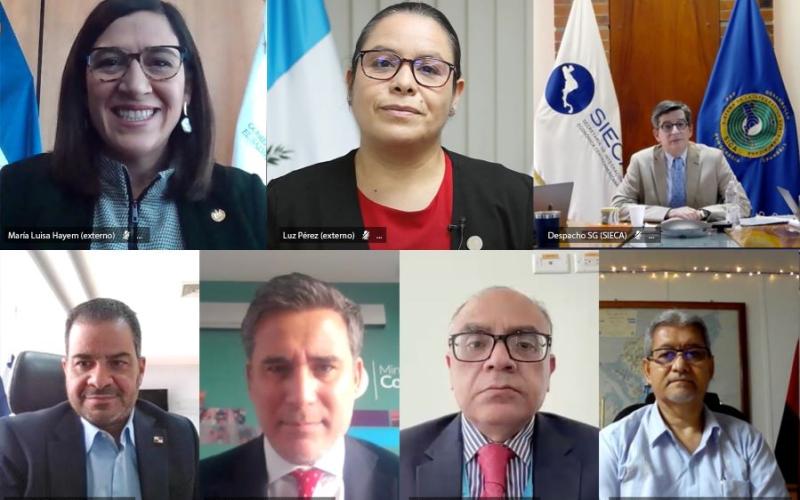 La ministra de Economía, Luz Pérez (centro arriba), durante su participación en la reunión.