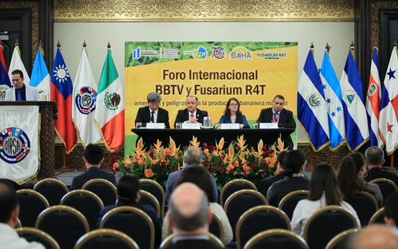 Guatemala fortalece capacidades para enfrentar la amenaza del Fusarium R4T