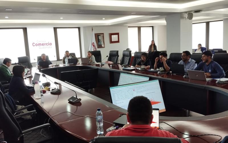 El INE continúa fortaleciendo la producción de indicadores de MiPYMES con enfoque de género 