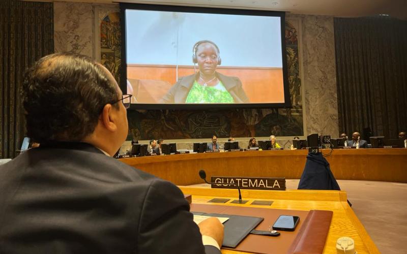 Guatemala participa en Debate Abierto de la ONU sobre crimen organizado transnacional 