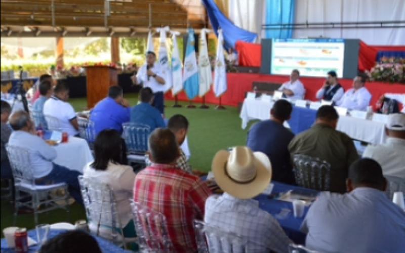 Culmina primera fase de diplomado de fortalecimiento municipal