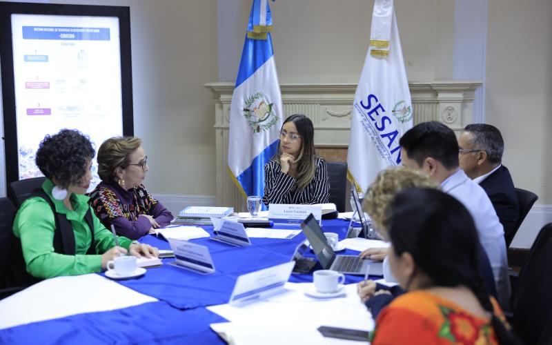 SESAN atiende reuniones de seguimiento a la transición gubernamental