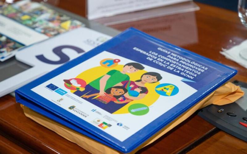 SESAN coordinó 27 reuniones del CONASAN en las que se desarrollaron acciones contra la malnutrición