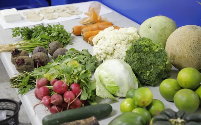 Canasta Básica Alimentaria -CBA-