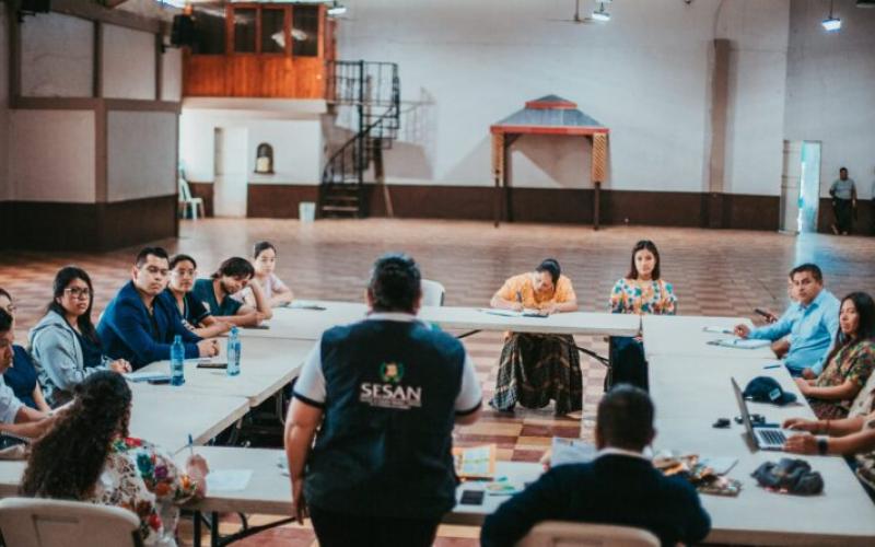 ¿Cuáles son los niveles de gobernanza de la seguridad alimentaria y nutricional?