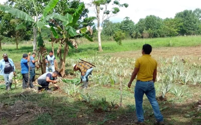SESAN y COMUSAN coordinan la implementación de huerto demostrativo para fomentar la alimentación saludable