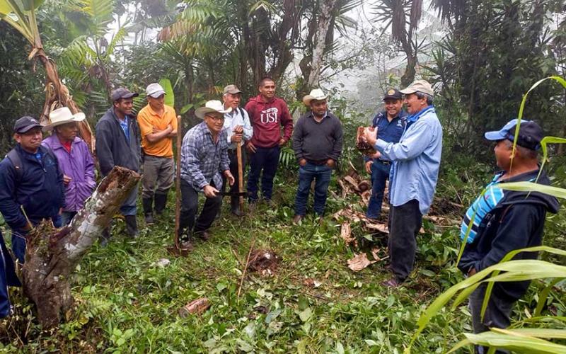 Agricultores de Zacapa que cultivan plátano son capacitados