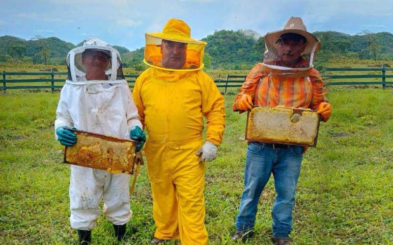 Apicultores de Petén se adaptan al cambio climático