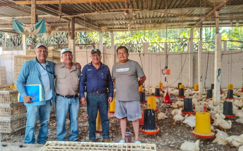 Apoyan a avicultores que buscan convertirse en proveedores de alimentos escolares