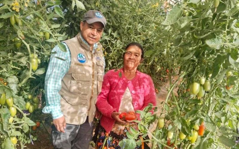 Apoyo tecnológico transforma labor de agricultora de San Marcos