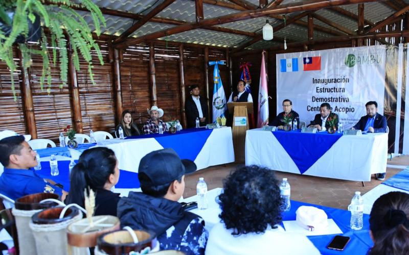El uso del bambú en la agricultura