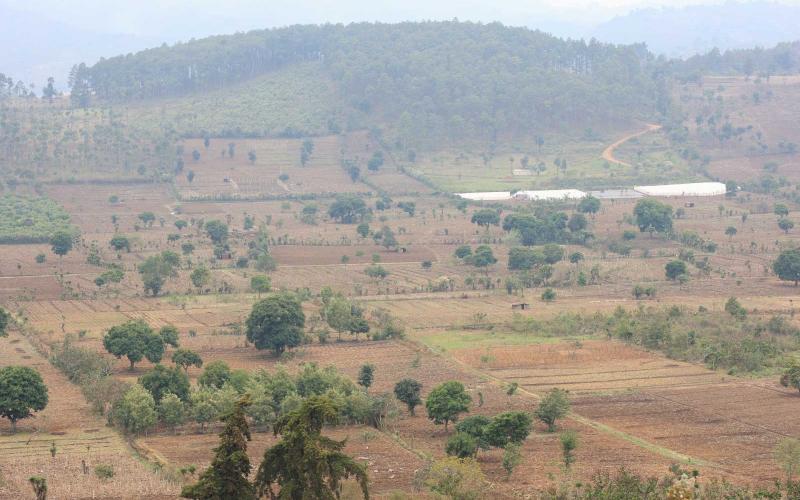 Empieza el calor esta semana