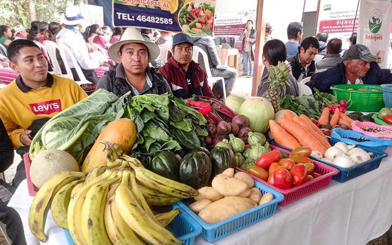 Impulsan alianzas estratégicas entre productores agrícolas locales y OPF